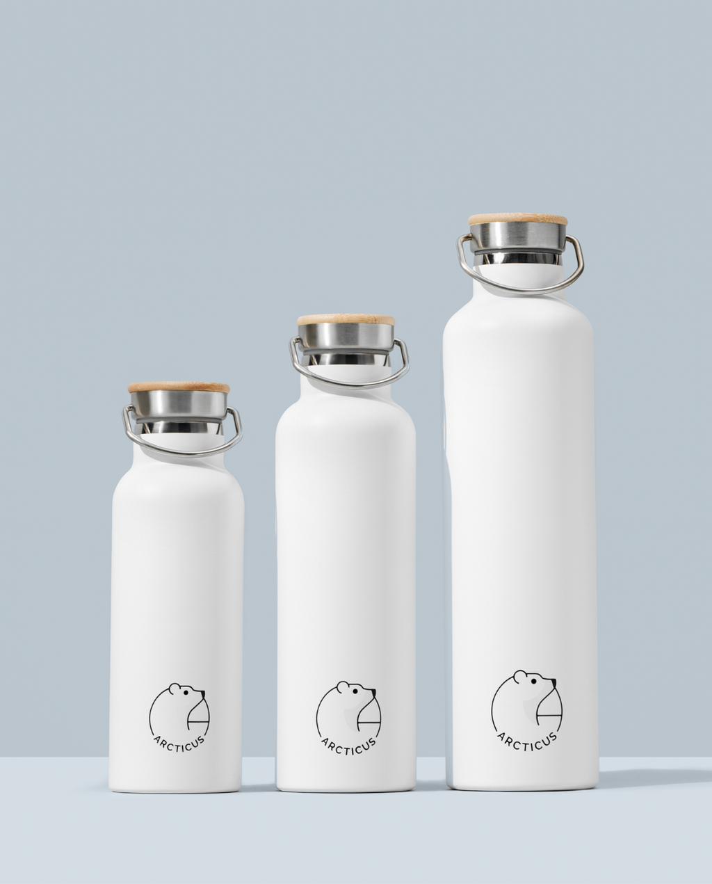 Bouteille Arctic