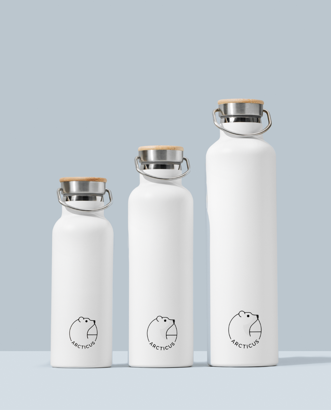 Bouteille Arctic